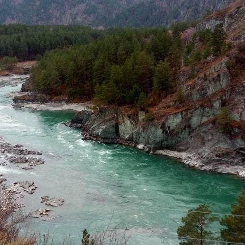 Красоты Чемала и Зачемалья — из Горно-Алтайска