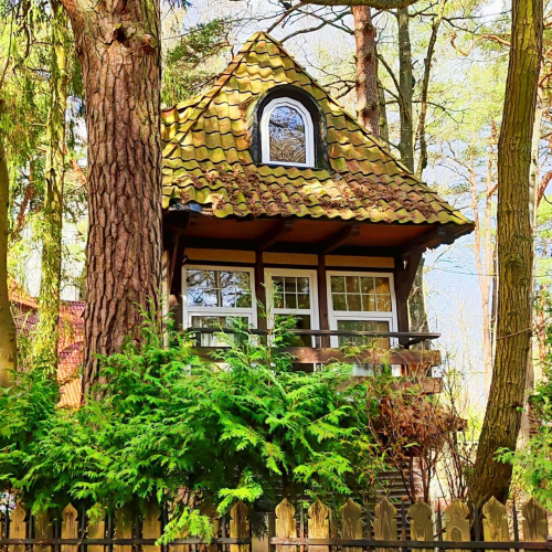 Индивидуально в Калининград: экскурсии, пикник на берегу и прогулка на катере