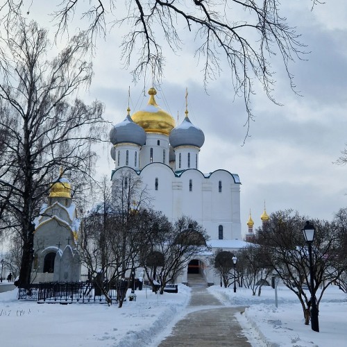 Светская экскурсия в прошлое и настоящее Новодевичьего монастыря