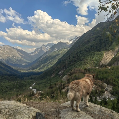 Откликнуться на зов гор: тур в Домбай и Архыз в мини-группе с несложным треккингом и комфортом