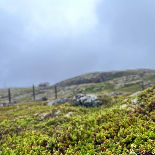 В Мурманск и Териберку из Санкт-Петербурга: Карелия, Кольский полуостров и города по пути