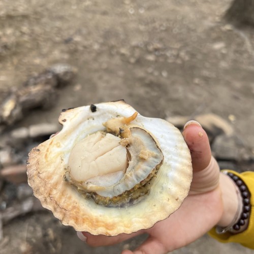 Полуостров Гамова и Кравцовские водопады