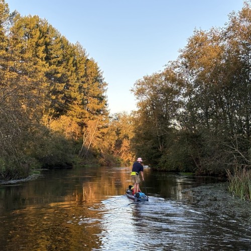 На сапбордах по реке Оредеж в мини-группе со съёмкой