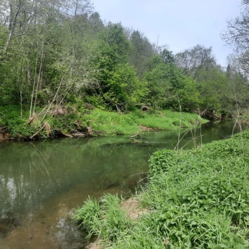 Первый раз с веслом в руках: лёгкий сплав по реке Воре (всё включено)