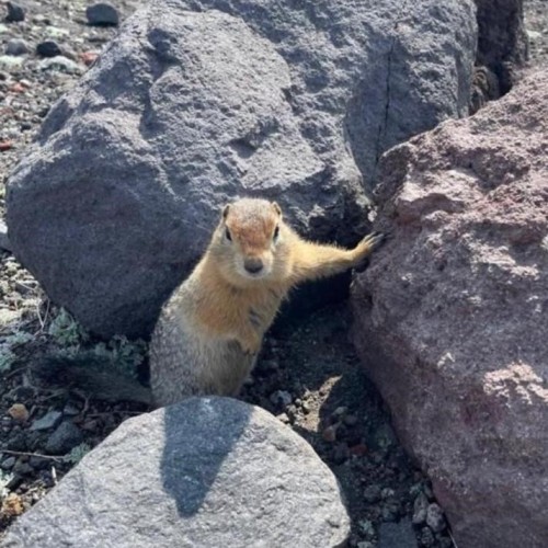 Природные красоты Камчатки: легко и без восхождений