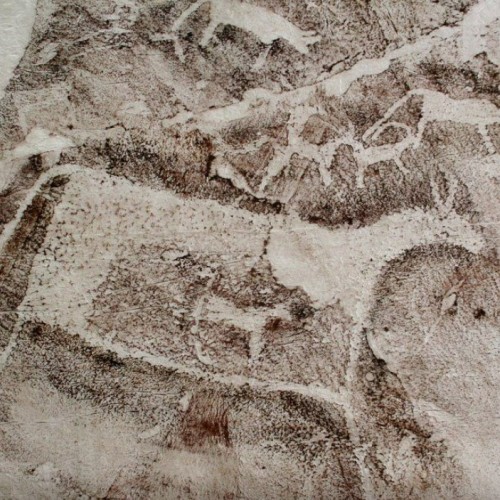 Насыщенное авто-пешее путешествие по Горному Алтаю