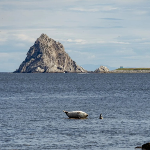 Колымские приключения: Магадан и окрестности в формате «всё включено»
