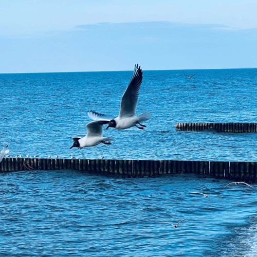 Индивидуальное путешествие с историком по Калининграду и области