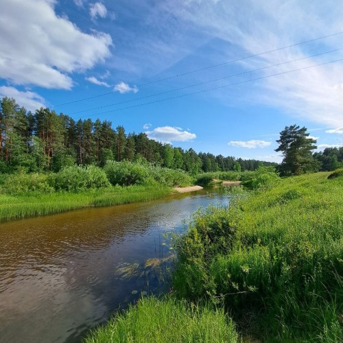 Подальше в лес: сплав на байдарках по реке Медведице