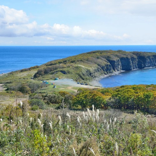 Лучшие панорамы Владивостока, остров Русский и морские бухты за 1 день