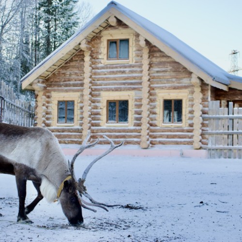 Море, горы и быт местных: всё главное на Кольском только для вашей компании