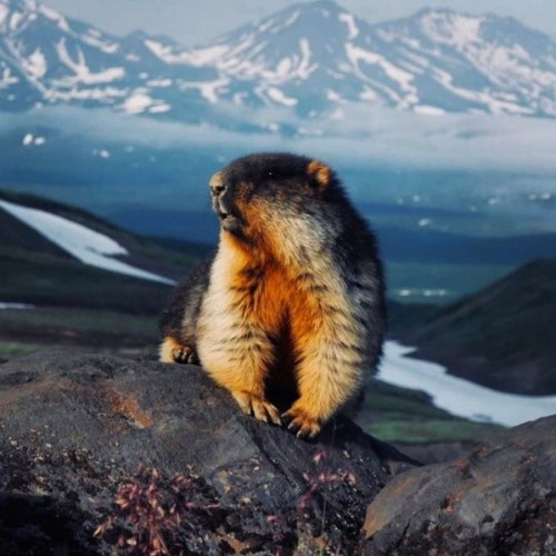 2500 км по Камчатке: вулканы, источники, океан