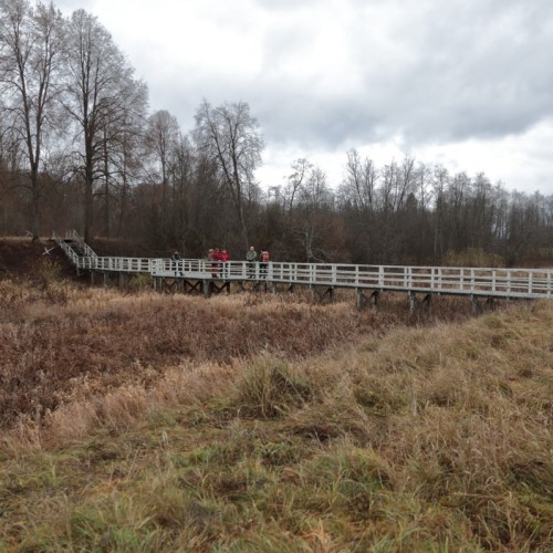 По тропам Торжокского района: пеший поход с рюкзаками
