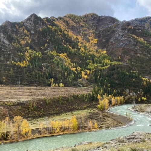 Золотой маршрут Алтая в золотую осень: индивидуальный тур