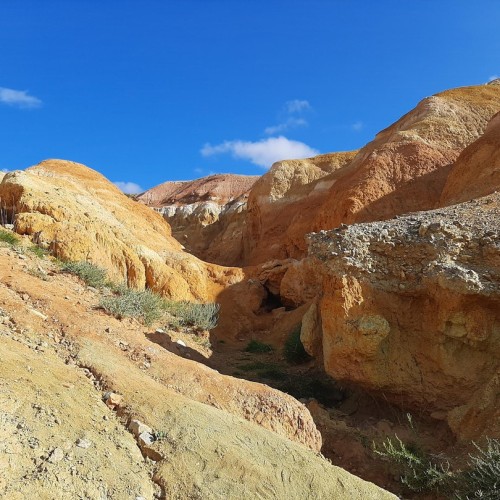 Алтайская классика: обзорный автотур по знаковым локациям