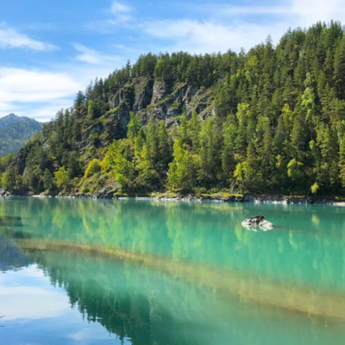 Возрождающая сила Алтая: ретрит-тур в женской компании