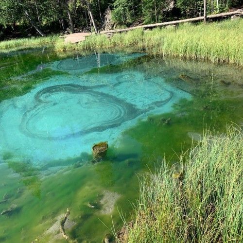 Затаив дыхание: тур по захватывающим алтайским достопримечательностям