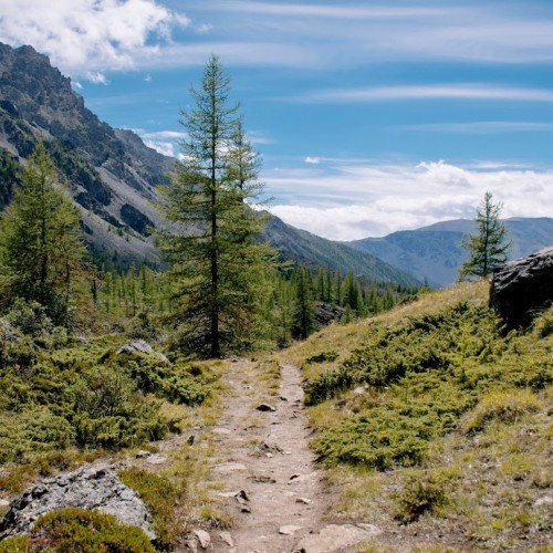Активный Алтай: треккинг, конные прогулки и Чуйский тракт