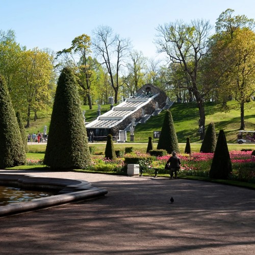 К фонтанам Петергофа в группе