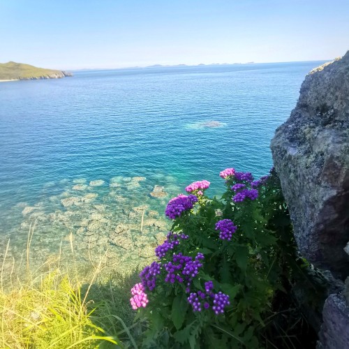 Полуостров Брюса + Кравцовские водопады + «Земля леопарда» + китайская кухня