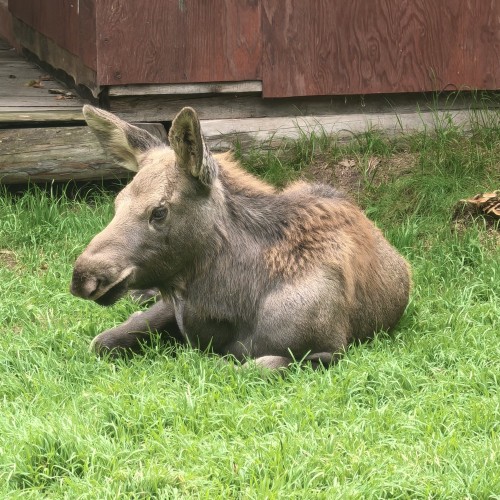 Джип-тур по дикой Камчатке: вулканы, источники, пикники на природе (всё включено)