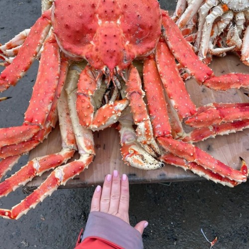 Объятый ветрами: автопутешествие по знаковым локациям Сахалина