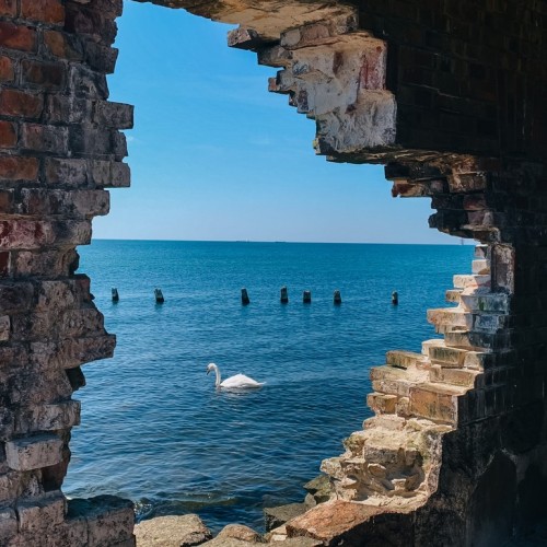 Отпуск у Балтийского моря: Зеленоградск и топовые места области