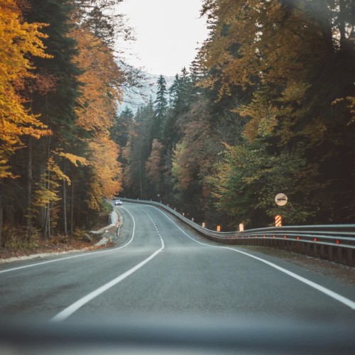 Лёгкий треккинг в горах Домбая с комфортом