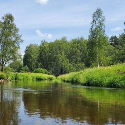 В объятиях Тьмы: лёгкий сплав на байдарках (всё включено)