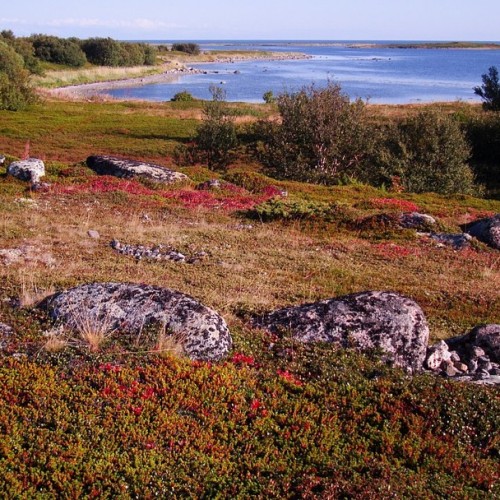 Путешествие на Соловки: погружение в историю, прогулки на катере, лодке и пешком