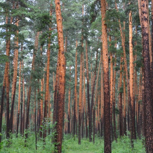 Знакомство с Алтаем своей компанией: снежные вершины, кристальные озёра и заповедные тропы