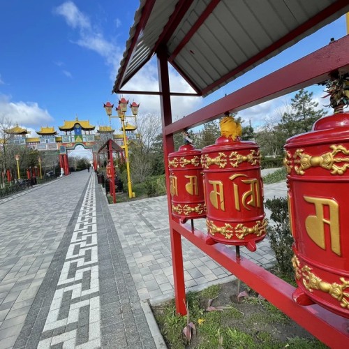 Цветущие тюльпаны и буддийские святыни: из Волгограда в Элисту