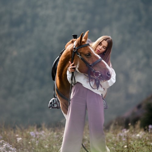 Бороздим просторы Алтая верхом: активный тур для опытных всадников с фотосъёмкой