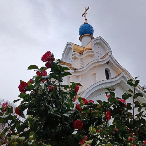 Православный Сочи из Адлера