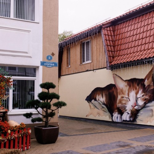 На майские в город кошек: выходные в Зеленоградске с прогулкой по Калининграду и Кушской косе