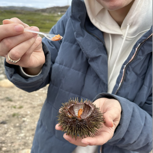 Уик-энд на Кольском: дегустация морепродуктов, Териберка, киты и экскурсия по Мурманску