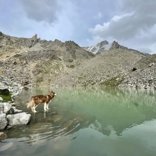 Комфортный треккинг в Приэльбрусье в мини-группе