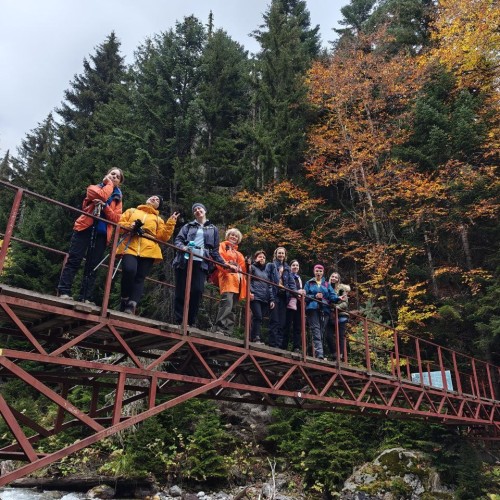 А давай в Домбай? Треккинг без рюкзаков