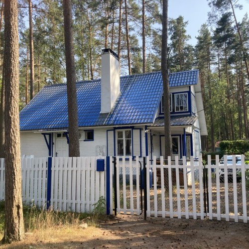 Лесная сторона Комарово: от дач до «будки» Ахматовой