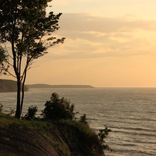 Замки, море и хомлины — лучшие места Калининградской области и дегустация на семейной сыроварне