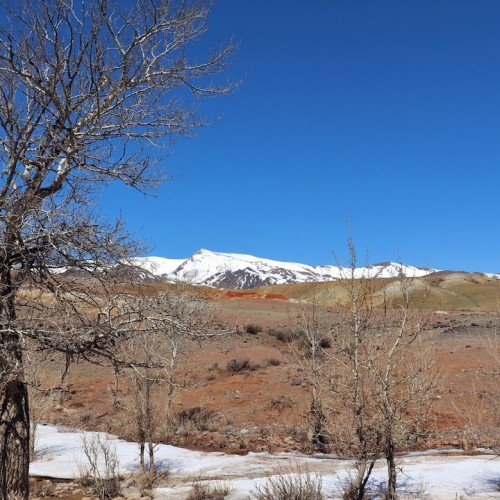 Зимний Алтай: снежные горы, незамерзающие озёра и тысяча лебедей