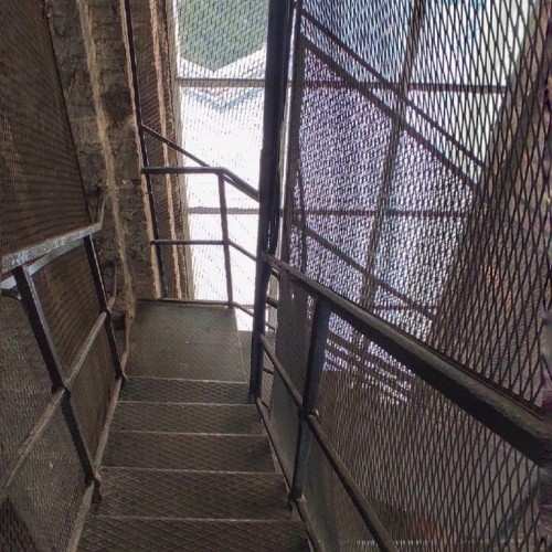 Смотровая площадка Смольного собора