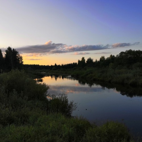 Очарование Медведицы: лёгкий сплав на байдарках (всё включено)
