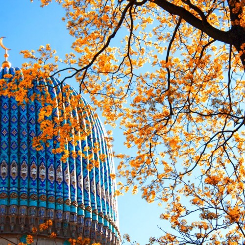 Соборная мечеть в Петербурге: история и архитектура