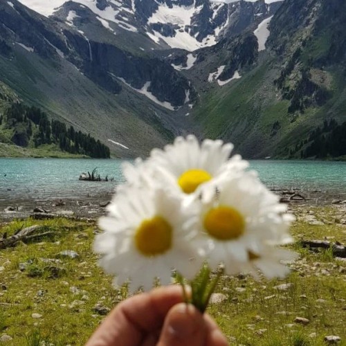 По озёрам, горам и степям с комфортом: 4 дня на Алтае