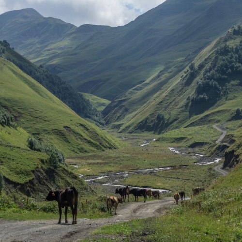 Индивидуальное автопутешествие к сокровищам Чечни: от мечетей до озера, водопадов и башен