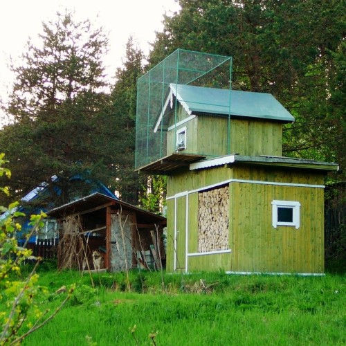 Своей компанией в Медвежьегорск: поездка-конструктор с экскурсиями на выбор