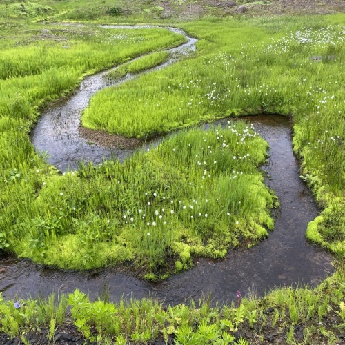 Камчатка в мини-группе: перевалы, бухты, сопки и купание в природных источниках