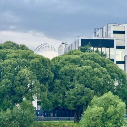 На теплоходе по Северным островам Санкт-Петербурга