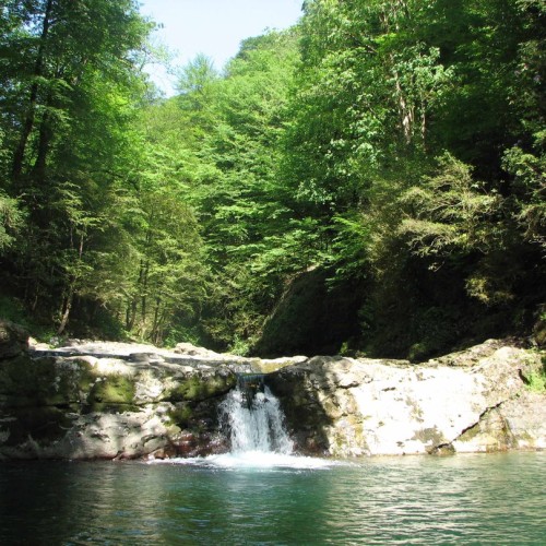 Приключения на лошадях в Сочи для новичков и опытных: по ущельям, долинам и лесам